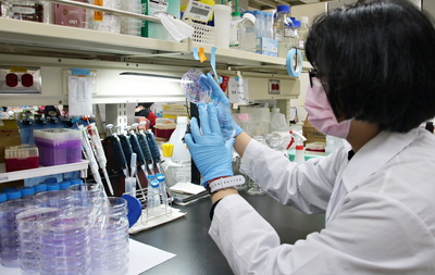 奈米科技應用於生醫領域，是全球熱門的研究議題。