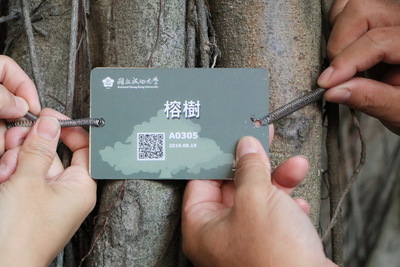 NCKU Trees Now Come in QR Codes
