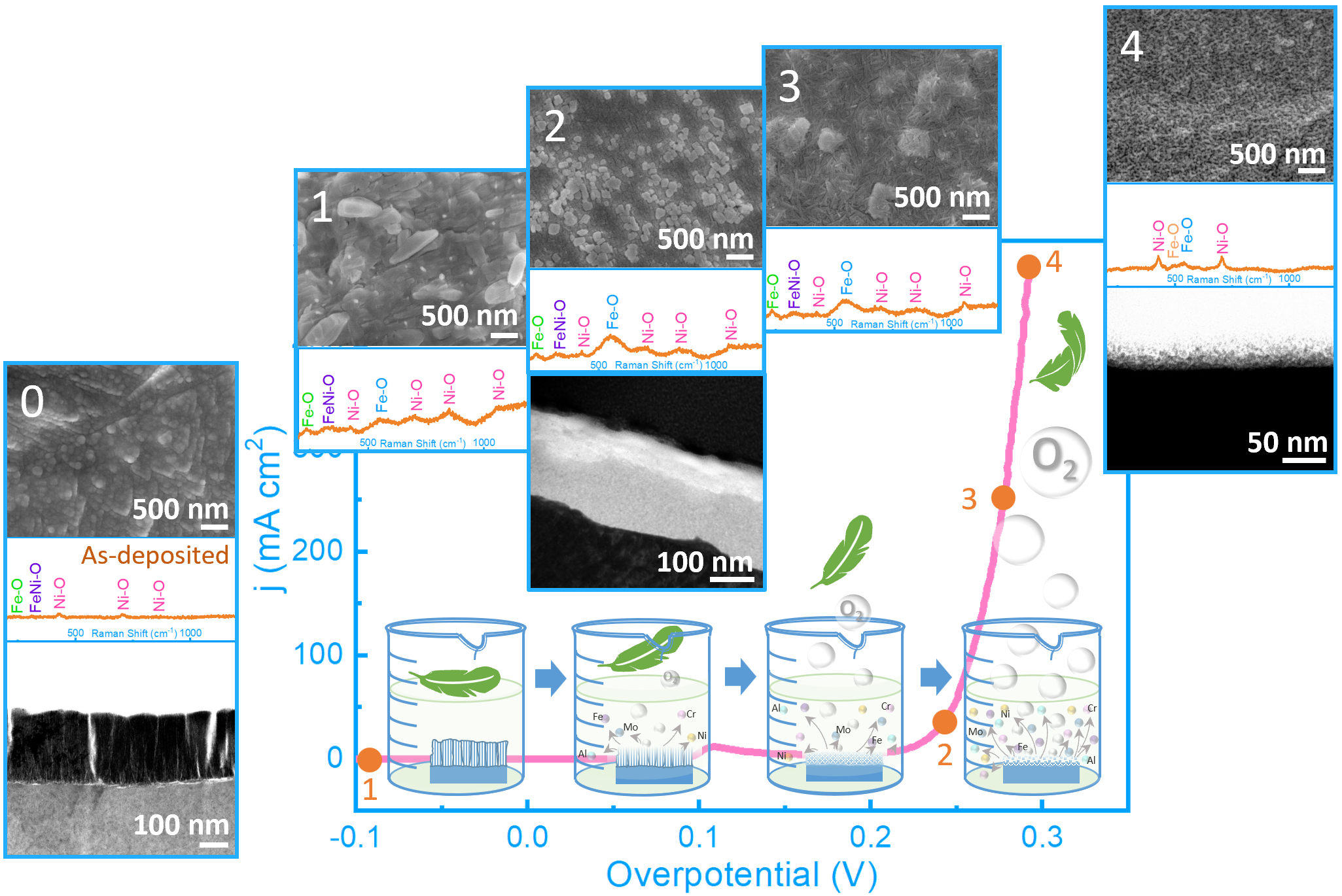 Morphological and structural changes in FeNiMoCrAl high-entropy-alloy thin-film catalysts during oxygen evolution reaction