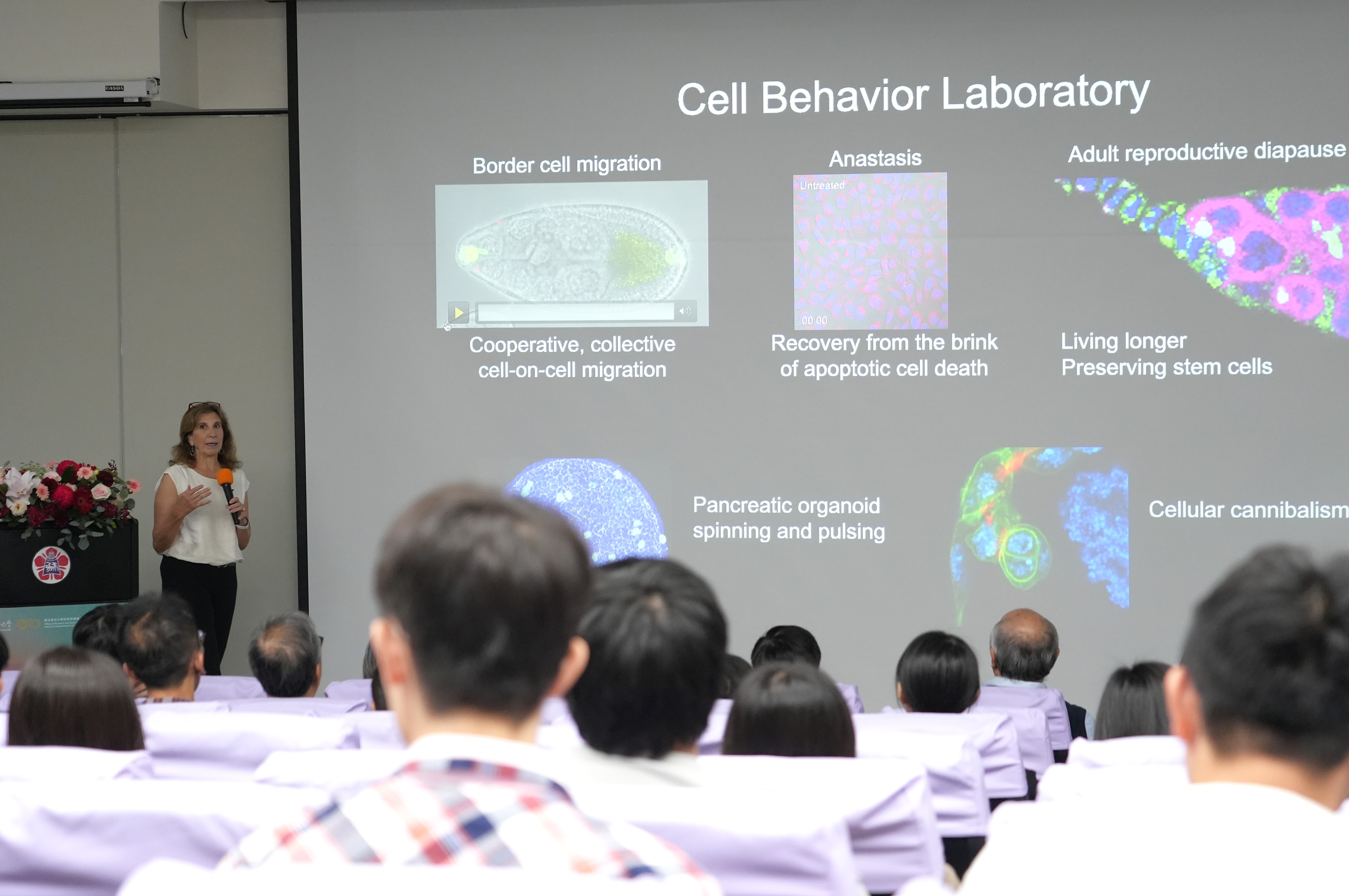 美國國家科學院院士,國際細胞生物學領域權威-美國加州大學聖塔芭芭拉分校 Denise Montell 特聘教授擔任成功大學「2025成大鳳凰講座」講者