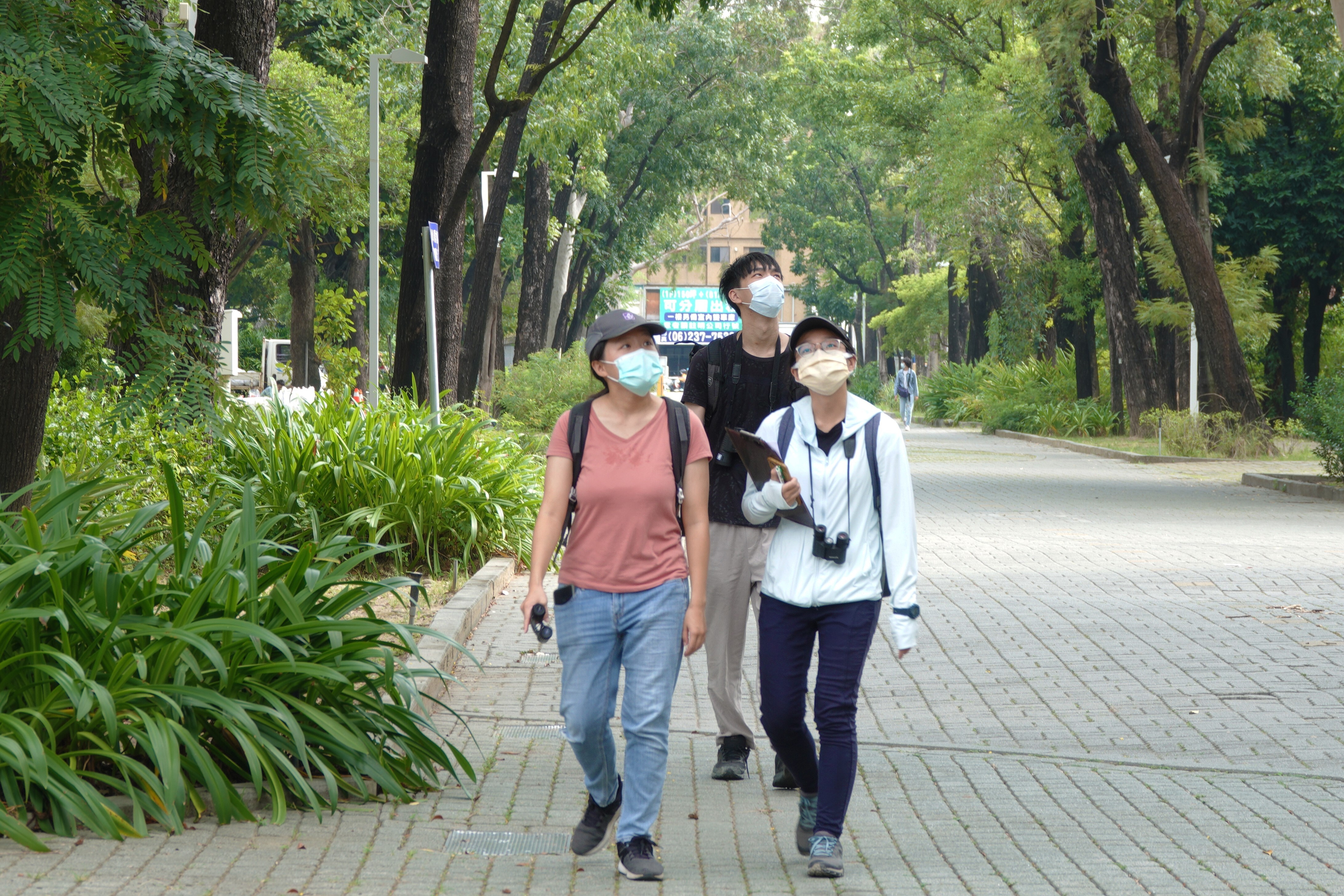 Students listen to birdsong and use binoculars to observe campus' birds.