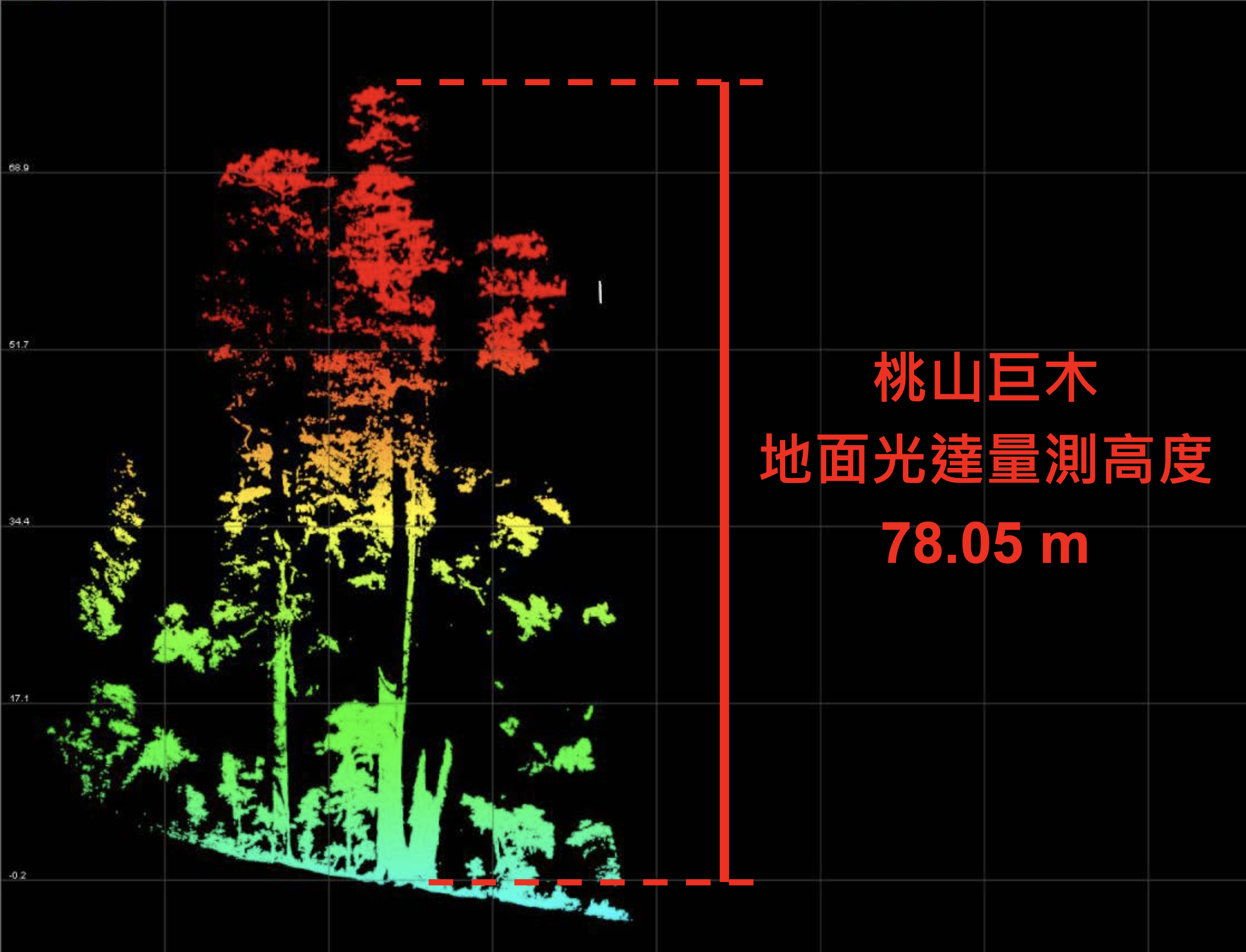 桃山巨木的空載光達資料。