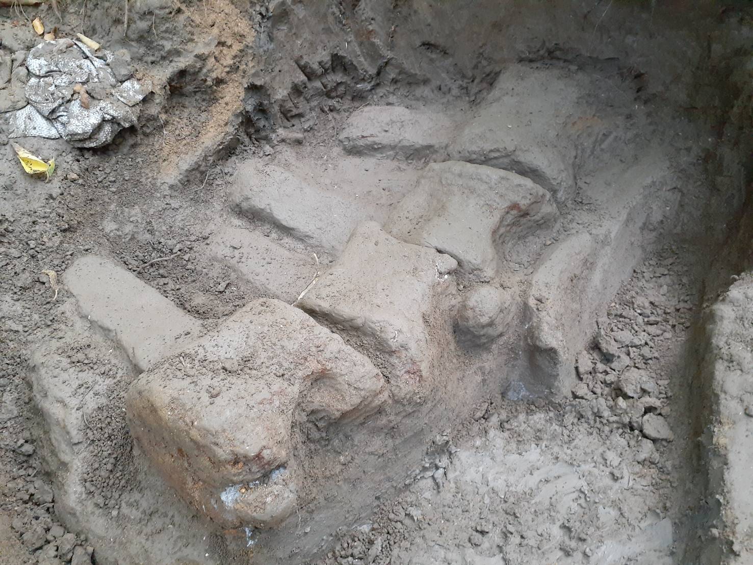 挖掘團隊在屏東恆春頭溝發現鯨魚椎體化石