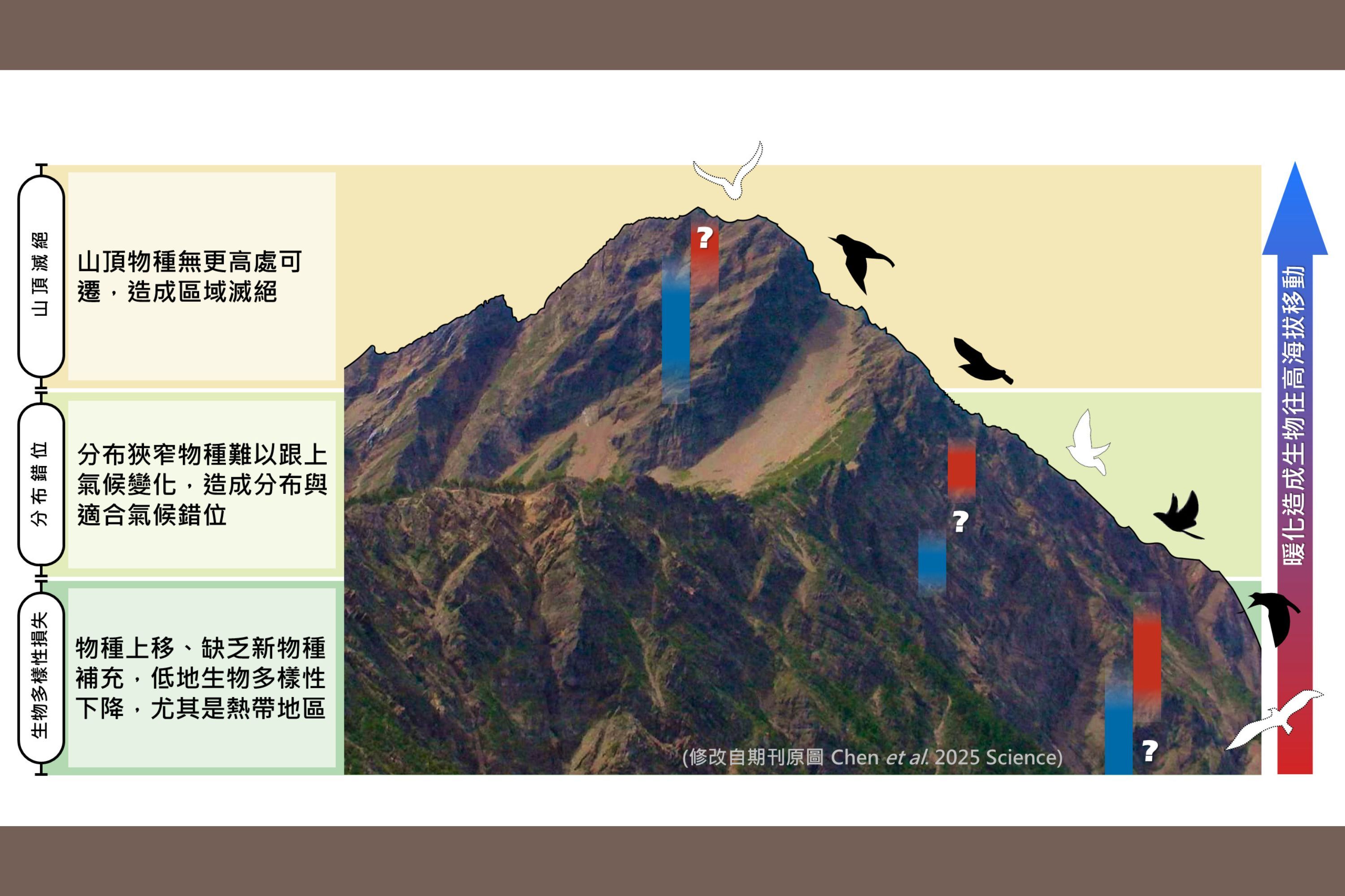 國立成功大學生命科學系陳一菁教授帶領團隊