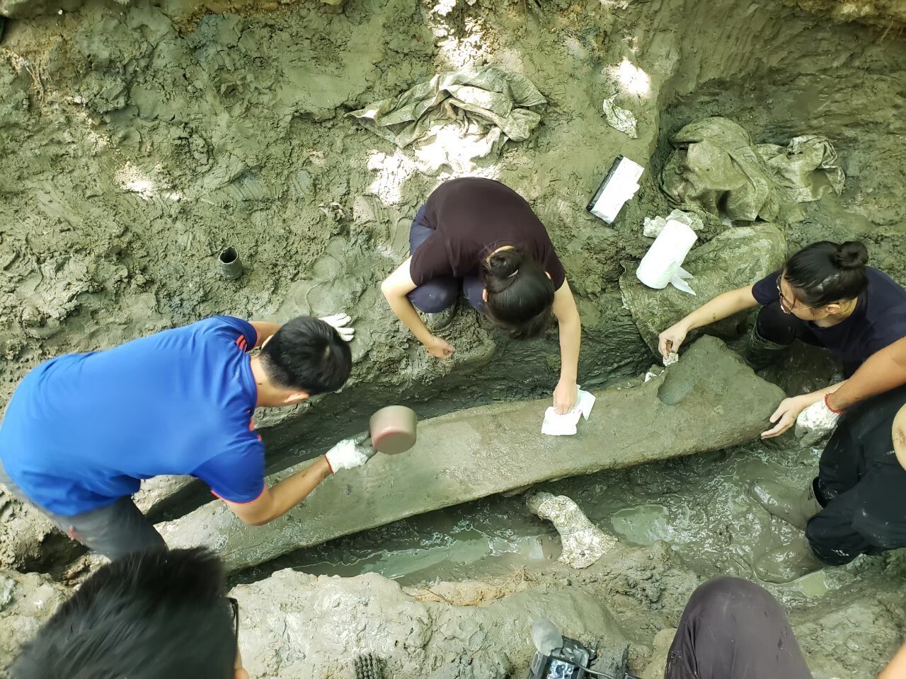 將下顎骨化石打石膏前，挖掘團隊仔細清除化石上的水分和泥土