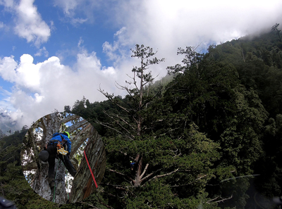團隊今年9月找到72.9米的台灣杉巨木，目前暫居台灣第一高樹