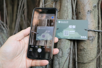 By scanning the QR codes with your phone, a mobile app will connect you to the NCKU Tree web page