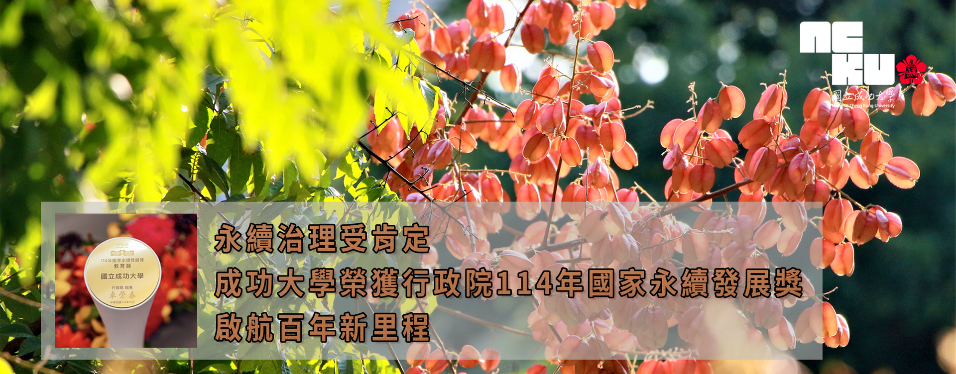 【影音】永續治理受肯定　成功大學榮獲行政院114年國家永續發展獎　啟航百年新里程　圖片